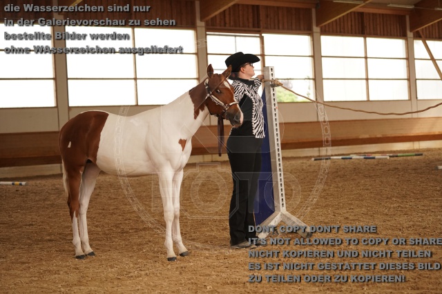 s_A_901031.JPG